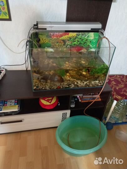Аквариум с рыбками