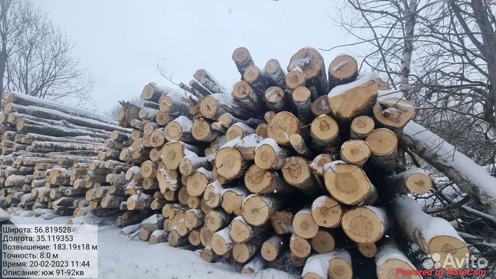 Дрова березовые колотые
