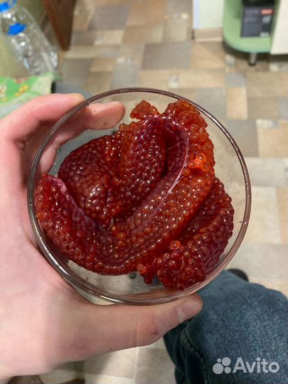 Форель Радужная с икрой