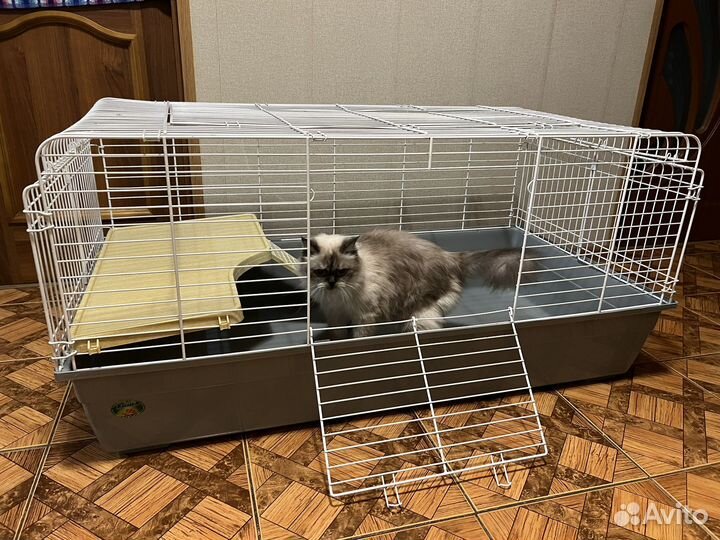 Клетка для животных