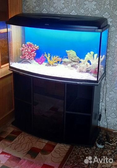 Аквариумный комплекс aquael 200л