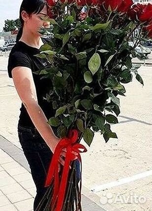 Высокие розы Гигантские розы 110