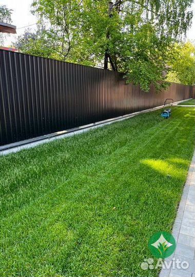 Рулонный газон. Укладка рулонного газона