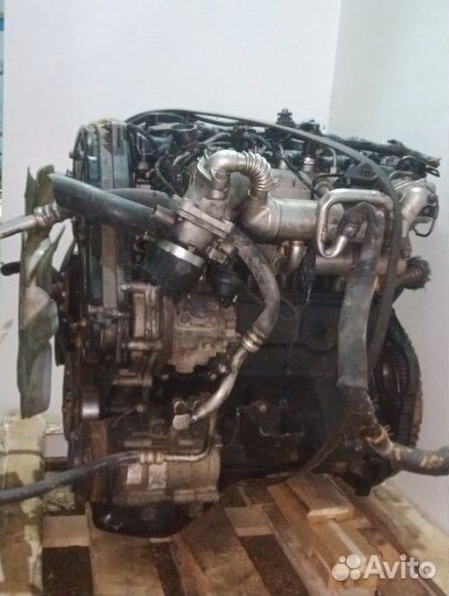 Контрактный двигатель D4CB 170HP euro4