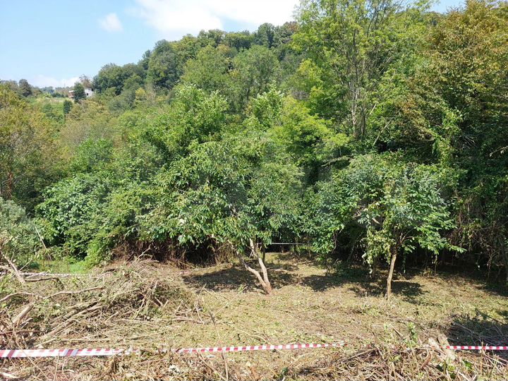 Участок 5,3 сот. (СНТ, ДНП)