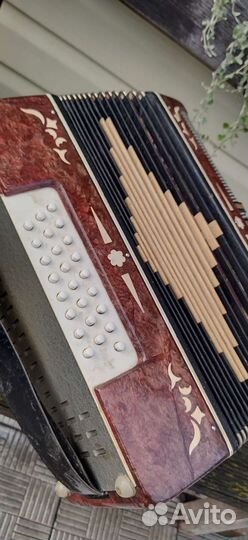 Гармонь Беларусь