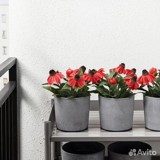 Кашпо Бойсенбер Икея