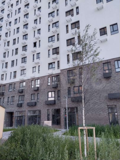 Свободного назначения, 36 м²