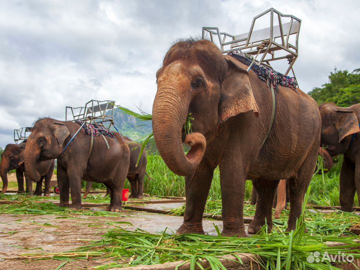 Поездка в Phuket от 7 нч за двоих