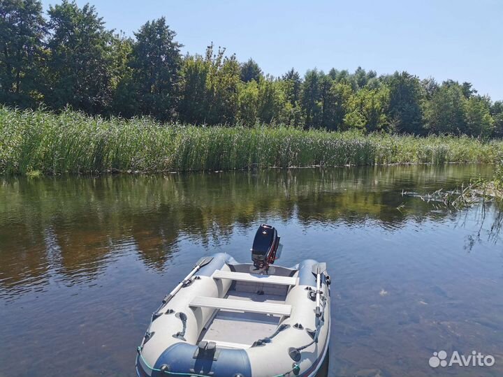 Моторная лодка Yamaran f310 и mercury 5