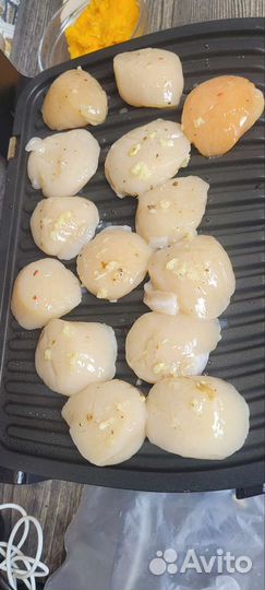 Гребешок Приморский