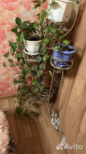 Подставка для цветов напольная кованая