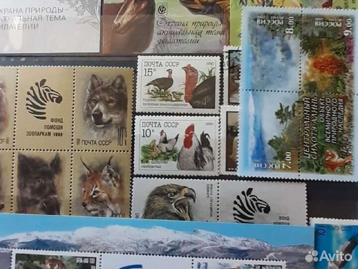 Животные, заповедники