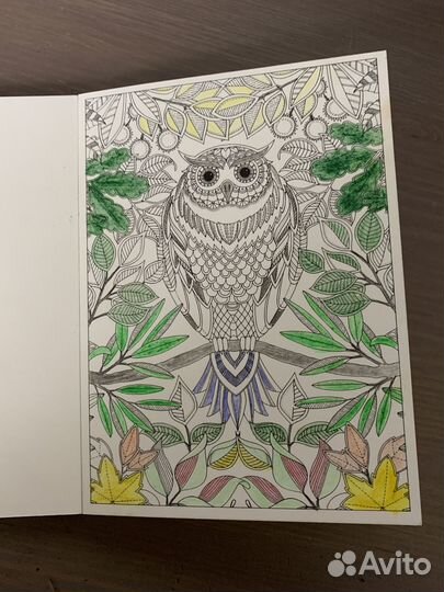 Открытки раскраски