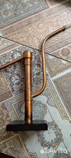 Попугай медный