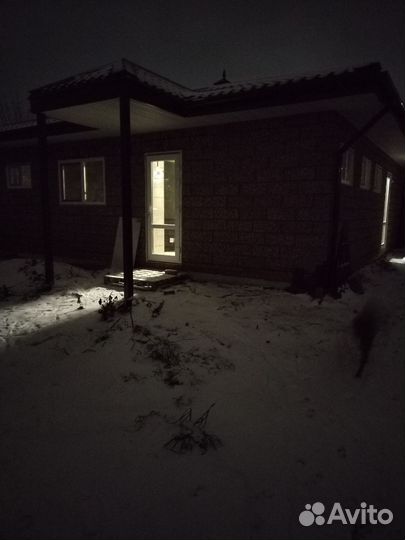 Передержка и дрессировка собак