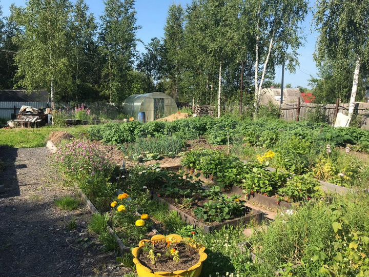 Дача 48 м² на участке 12 сот.