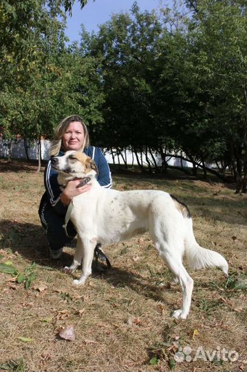 Скарлет прозибает в приюте