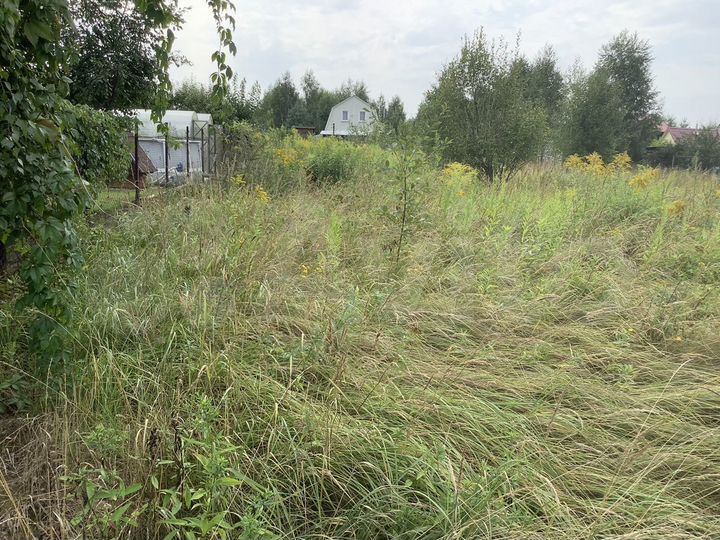 Участок 12 сот. (СНТ, ДНП)