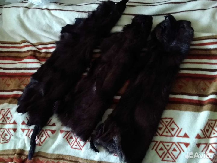 Шкурки нутрии