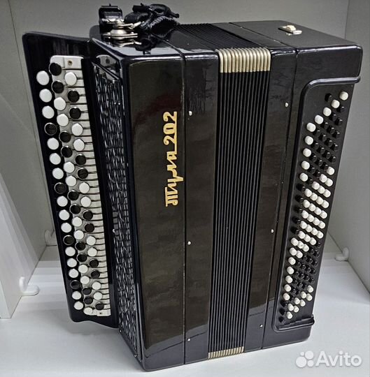 Баян Тула 202