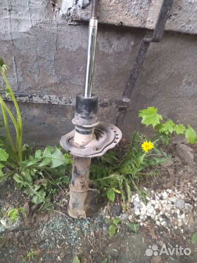 Амортизатор,передний правый