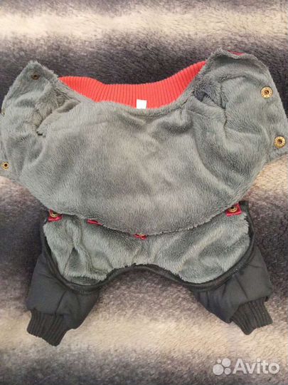 Одежда для собак