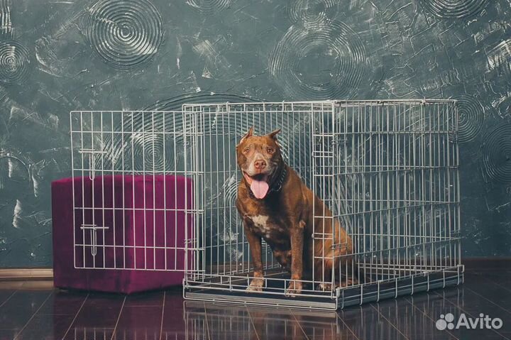 Клетка для собак