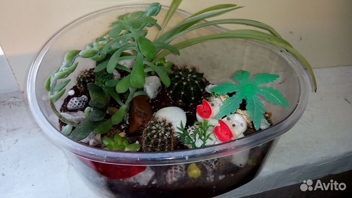 Мини-садик с кактусами,поющими птичками из ракушек