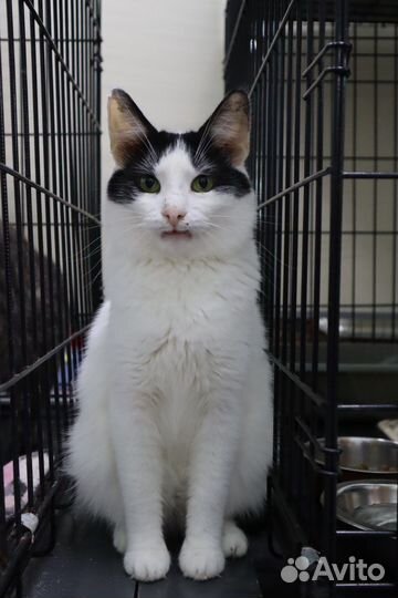 В ожидании семьи