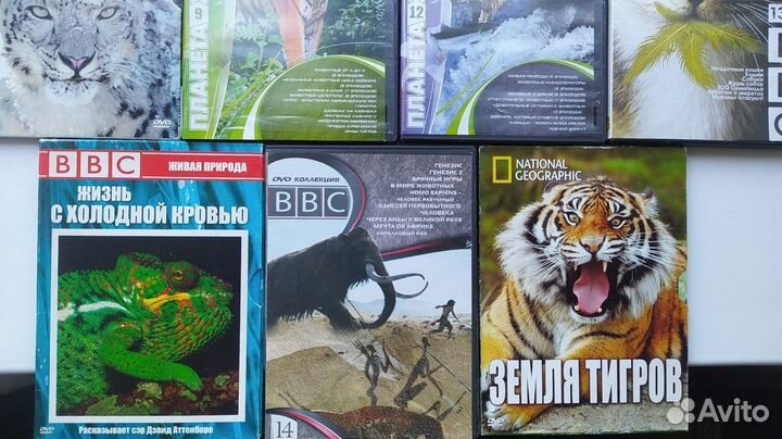 DVD диски BBC