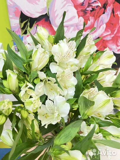 Цветы букеты с доставкой