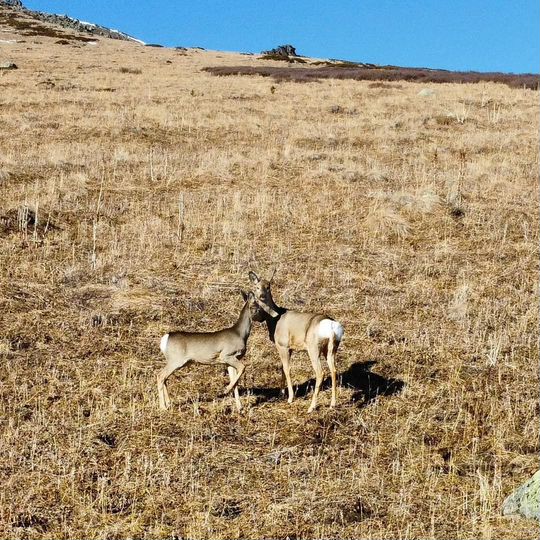 Участок 32,72 га (СНТ, ДНП)