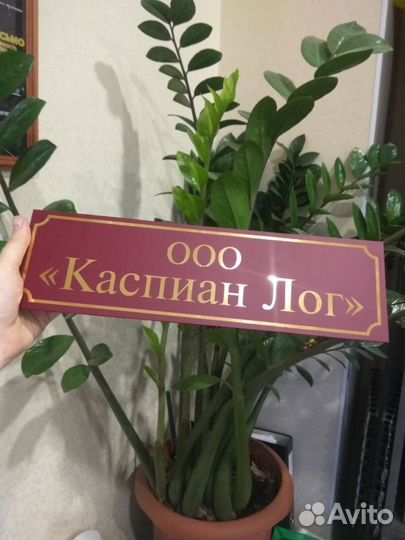 Визитки и листовки. Дизайн. Номер на лодку