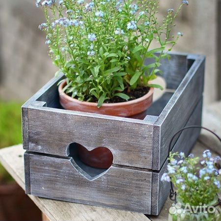 Ящи хвоя для хранения