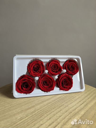 Стабилизированные розы классические красные d5см
