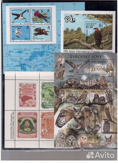 Фауна Птицы Совы часть 1