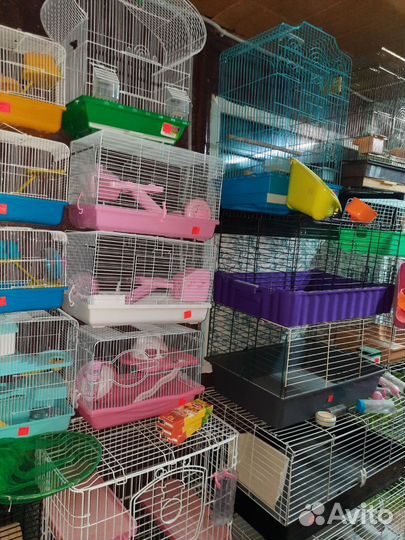 Аквариум и оборудования