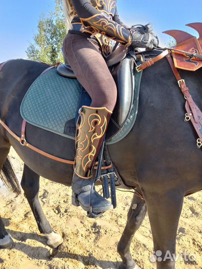 Снаряжение для всадников и коней