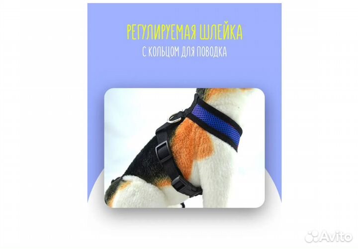 Шлейка для собак и кошек с поводком 1.3м, дышащая