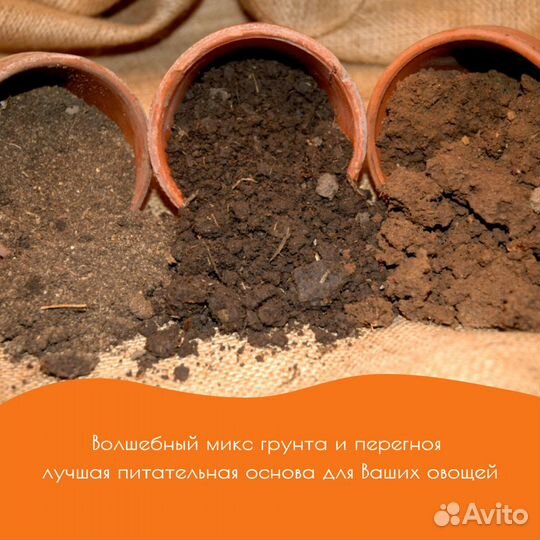 Навоз конский 5 летний