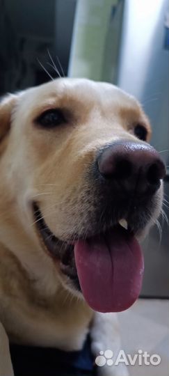 Семейная фотосессия