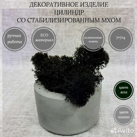 Декоративное изделие цилиндр со мхом