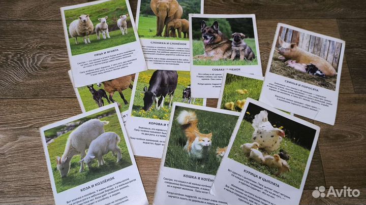 Развивающие карточки для детей