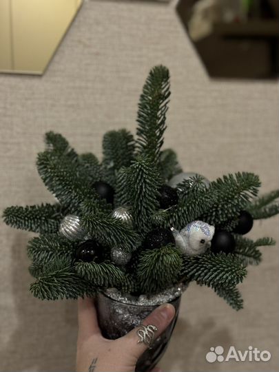 Новогодние украшения нобилис