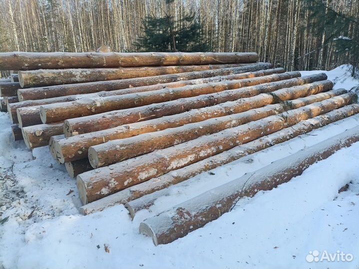 Лес для сруба