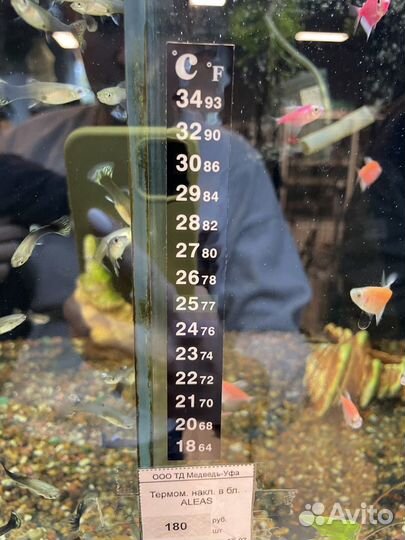 Цифровой термомерт в аквариум