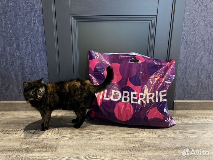 Вещи пакетом для девушки 42 размер