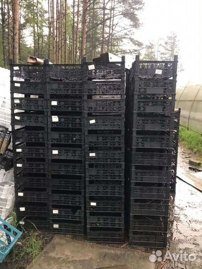 Ящик пластиковый