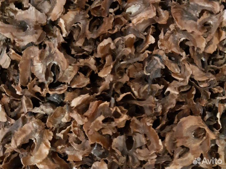 Перегородки грецкого ореха